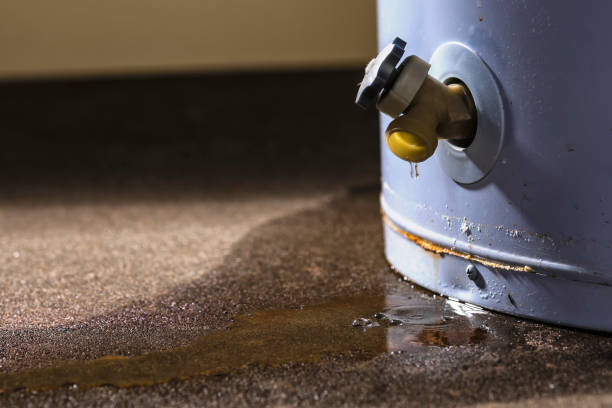 Best Water damage restoration process  in Avenal, CA
