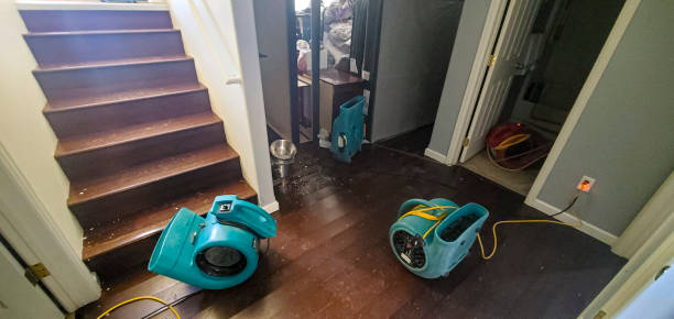 Best 24-hour water damage restoration  in Avenal, CA