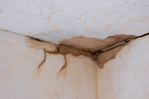 Best Water damage repair service  in Avenal, CA