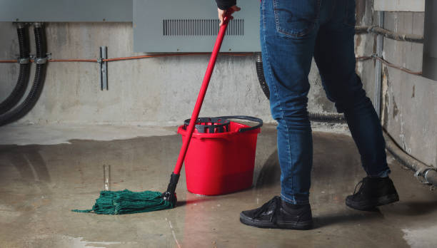 Best Water damage cleanup near me  in Avenal, CA