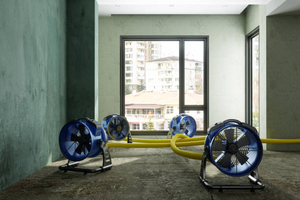 Best Water damage restoration near me  in Avenal, CA