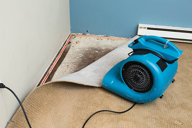 Best Local water damage restoration  in Avenal, CA